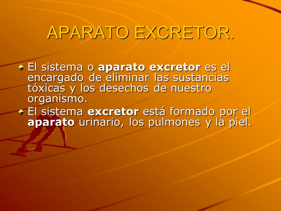 APARATO EXCRETOR. El sistema o aparato excretor es el encargado de eliminar las sustancias tóxicas y los desechos de nuestro organismo.