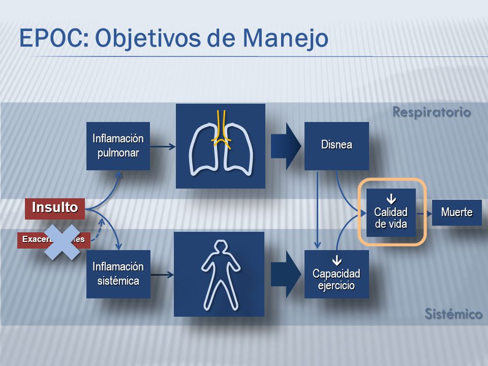 ✖ EPOC: Objetivos de Manejo Respiratorio Sistémico Insulto Inflamación