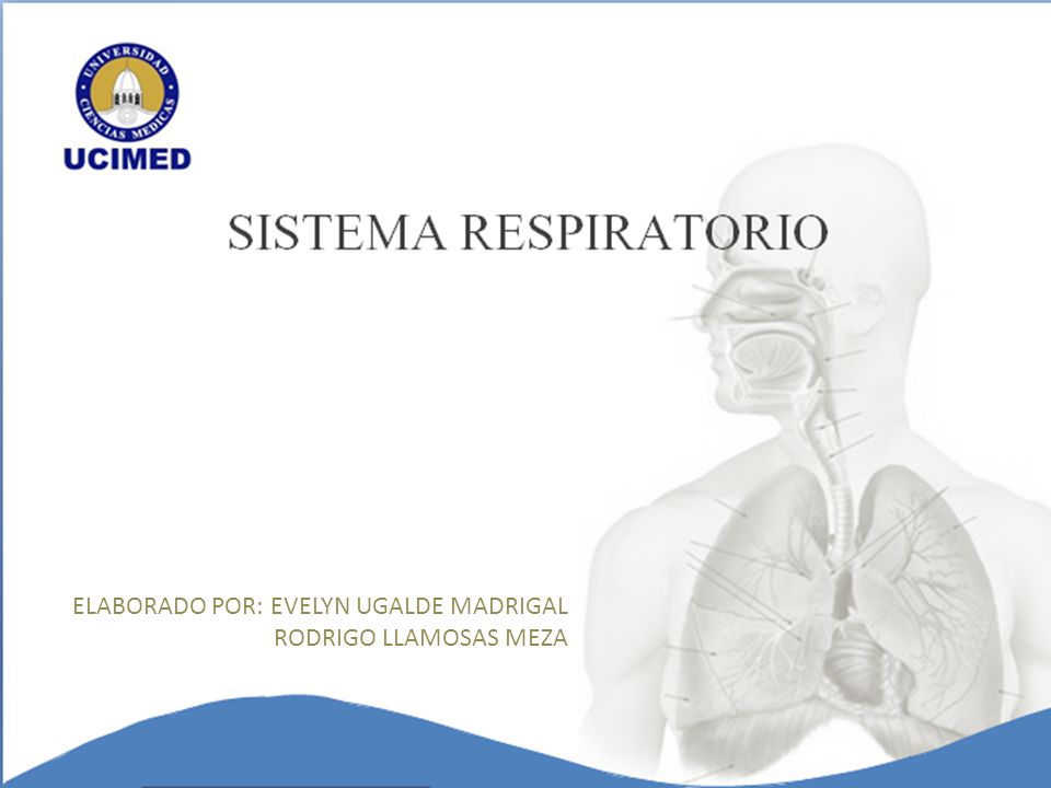 Elaborado por: Evelyn Ugalde Madrigal Rodrigo llamosas Meza