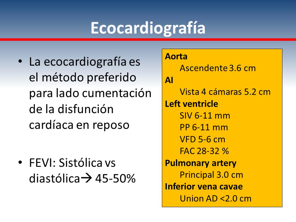 Ecocardiografía Aorta. Ascendente 3.6 cm. AI. Vista 4 cámaras 5.2 cm. Left ventricle. SIV 6-11 mm.