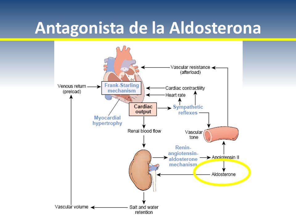 Antagonista de la Aldosterona