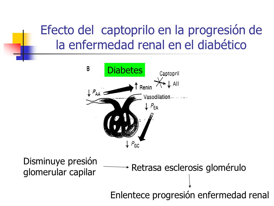 Efecto del captoprilo en la progresión de la enfermedad renal en el diabético