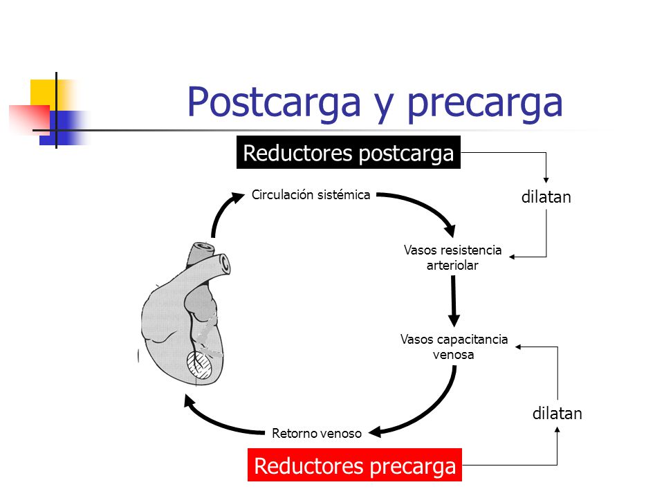 Postcarga y precarga Reductores postcarga Reductores precarga dilatan