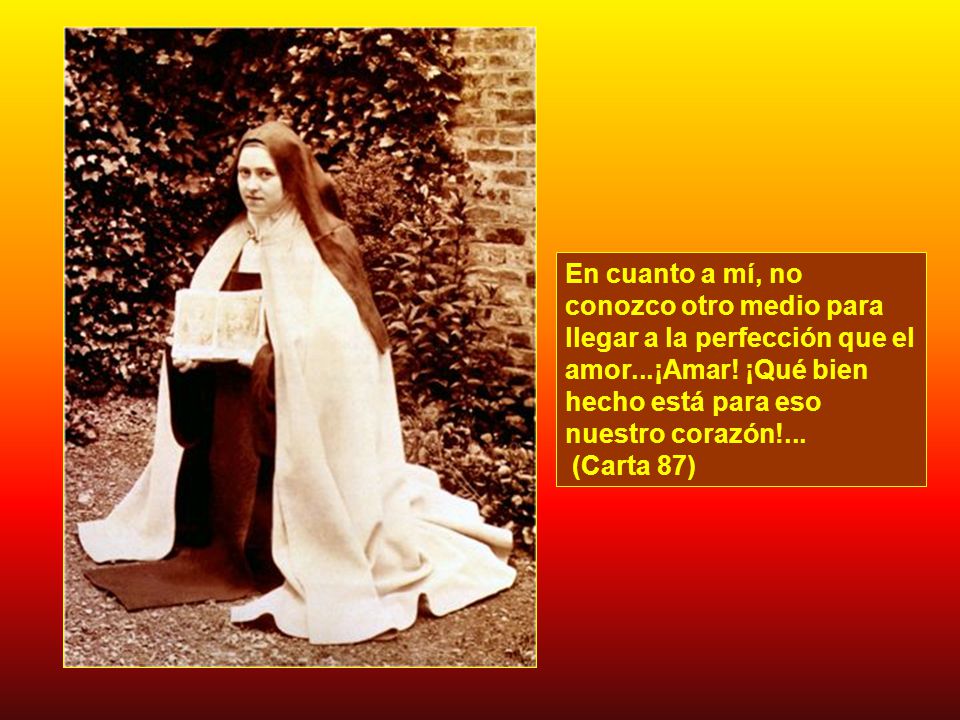 En cuanto a mí, no conozco otro medio para llegar a la perfección que el amor...¡Amar.