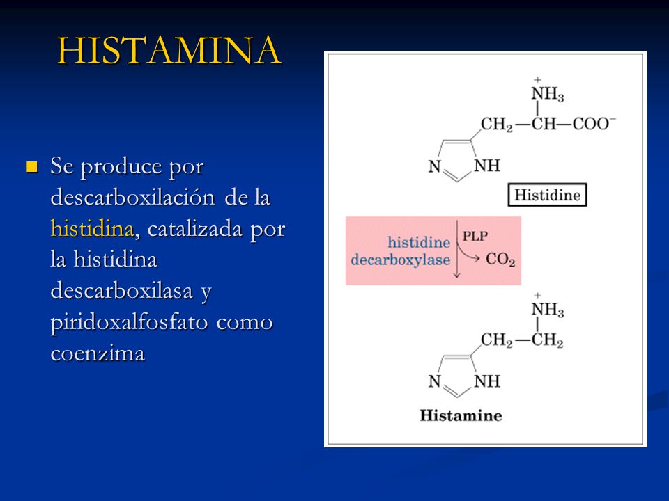 HISTAMINA Se produce por descarboxilación de la histidina, catalizada por la histidina descarboxilasa y piridoxalfosfato como coenzima.