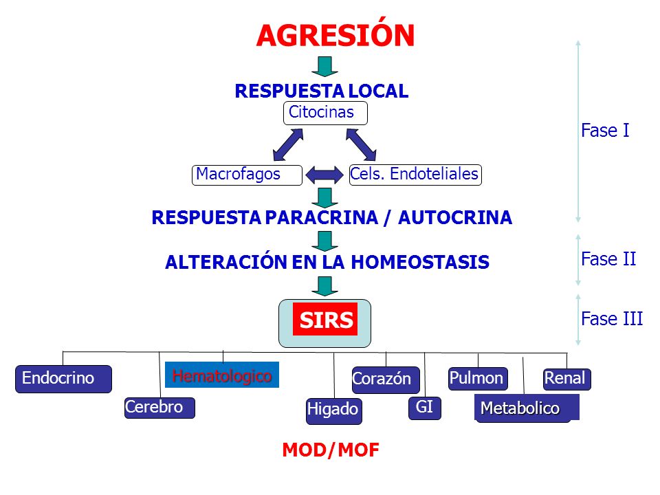 AGRESIÓN SIRS RESPUESTA LOCAL Fase I RESPUESTA PARACRINA / AUTOCRINA