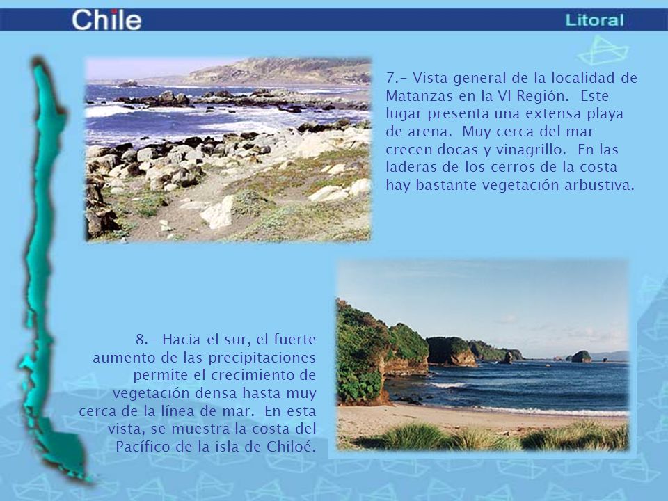 7. - Vista general de la localidad de Matanzas en la VI Región