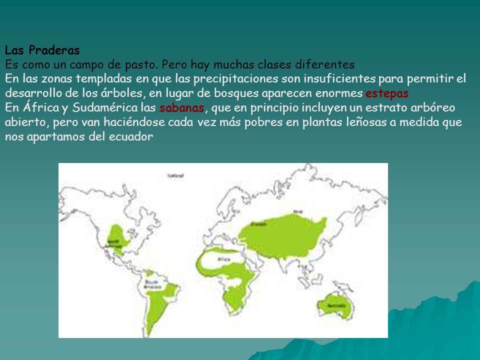 Las Praderas Es como un campo de pasto. Pero hay muchas clases diferentes.