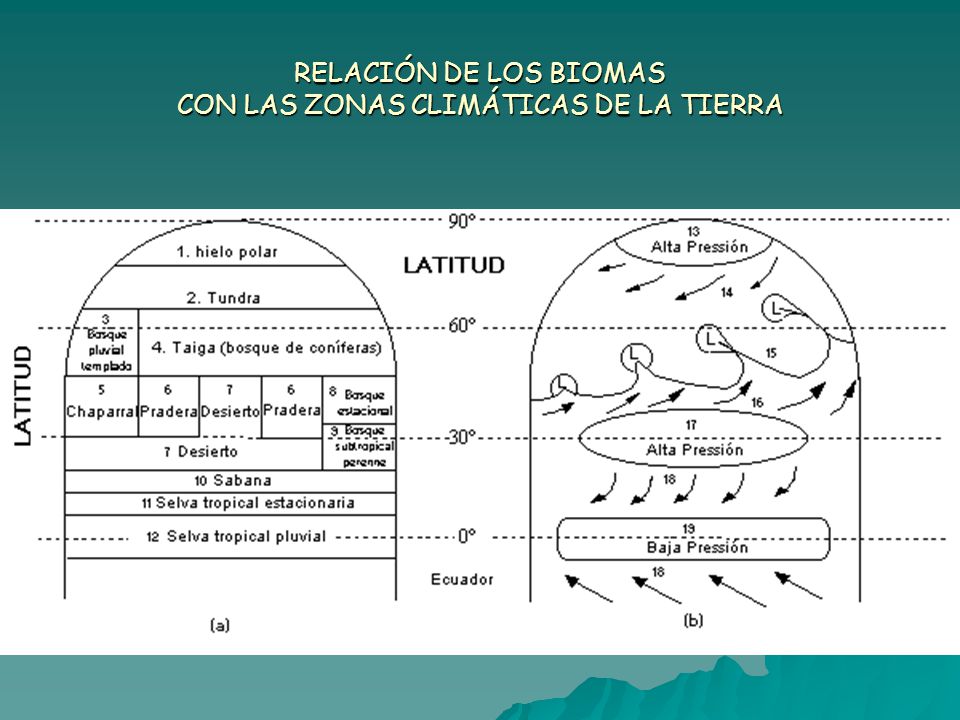 RELACIÓN DE LOS BIOMAS CON LAS ZONAS CLIMÁTICAS DE LA TIERRA