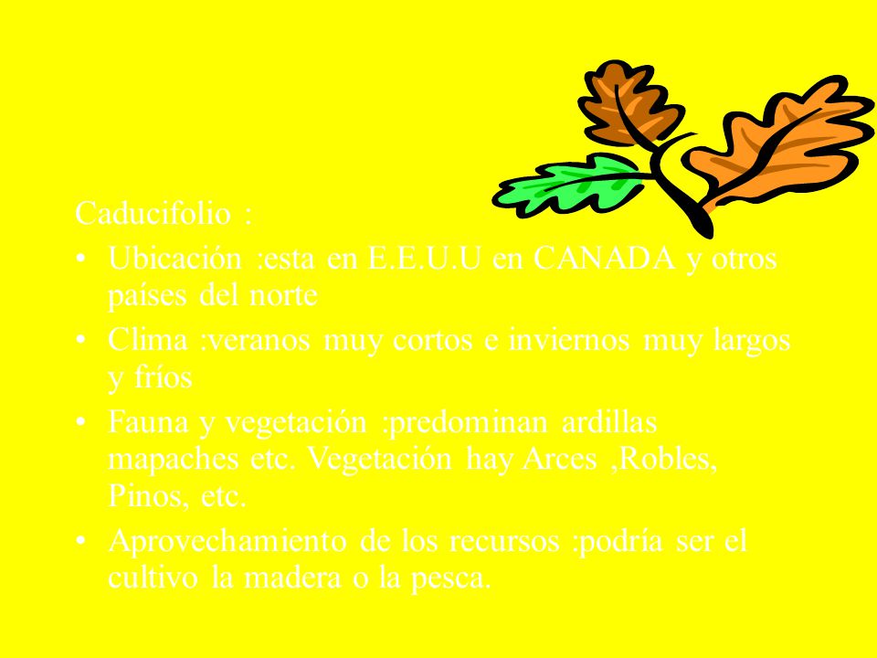 BOSQUES Caducifolio : Ubicación :esta en E.E.U.U en CANADA y otros países del norte. Clima :veranos muy cortos e inviernos muy largos y fríos.