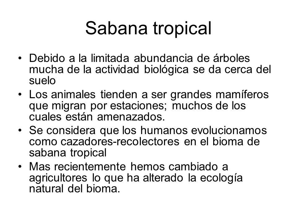 Sabana tropical Debido a la limitada abundancia de árboles mucha de la actividad biológica se da cerca del suelo.