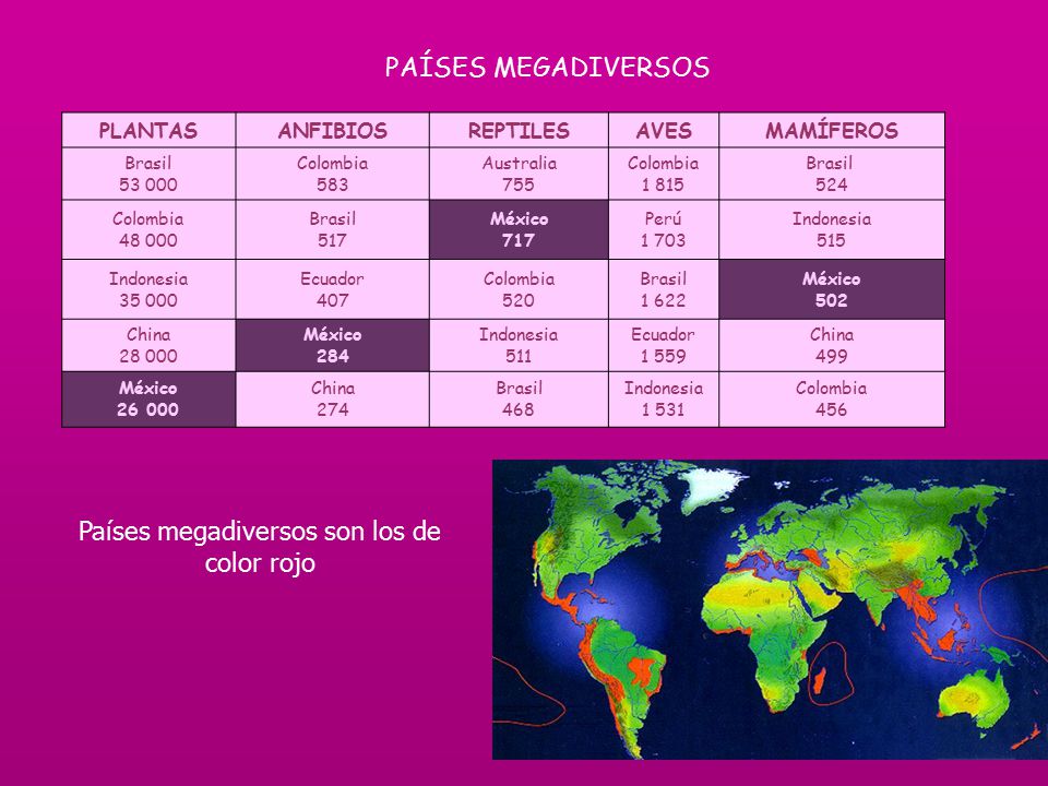 Países megadiversos son los de color rojo