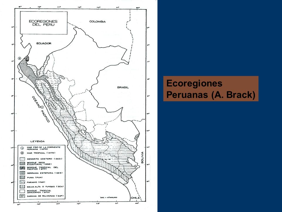 Ecoregiones Peruanas (A. Brack)