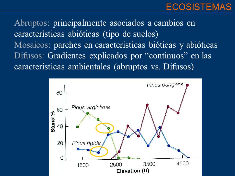 ECOSISTEMAS Abruptos: principalmente asociados a cambios en características abióticas (tipo de suelos)
