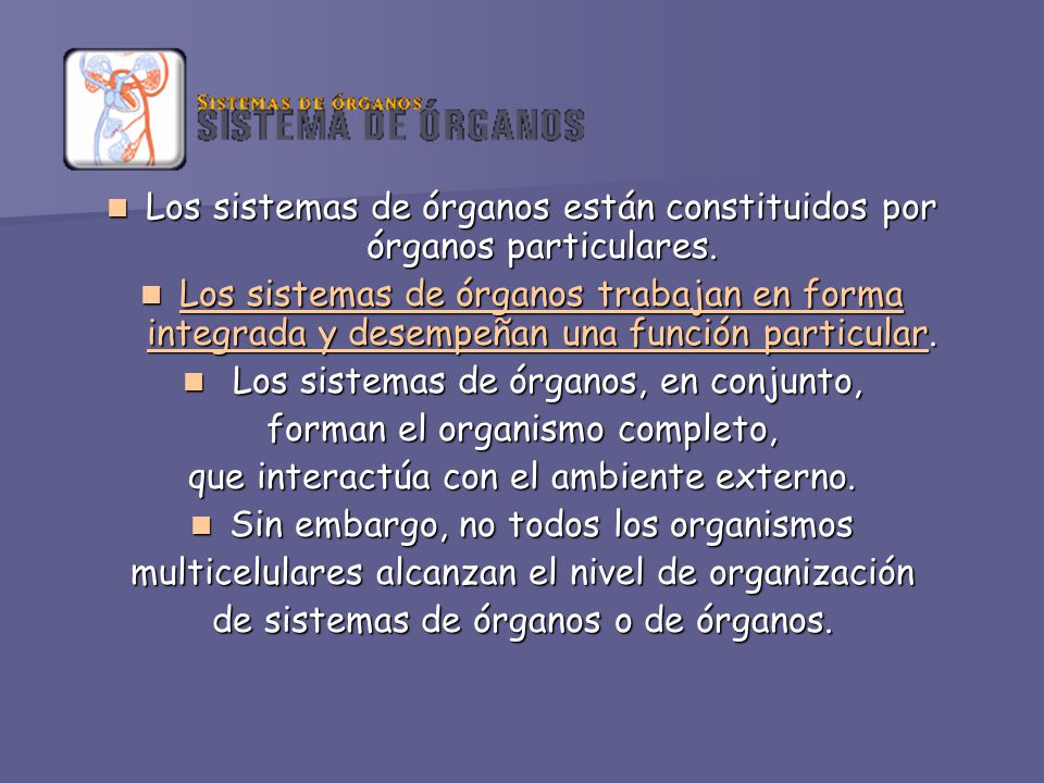 Los sistemas de órganos están constituidos por órganos particulares.