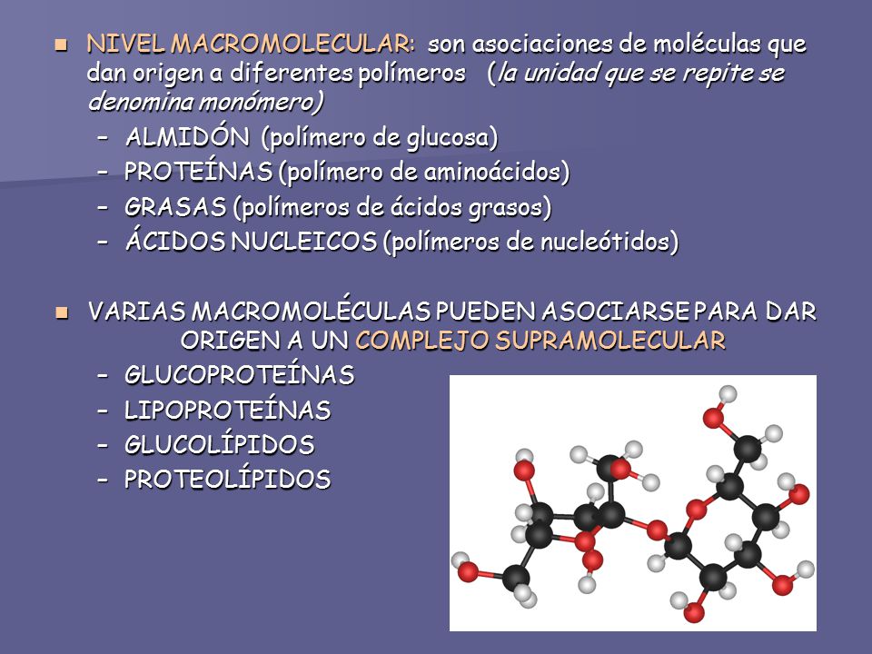 NIVEL MACROMOLECULAR: son asociaciones de moléculas que dan origen a diferentes polímeros (la unidad que se repite se denomina monómero)