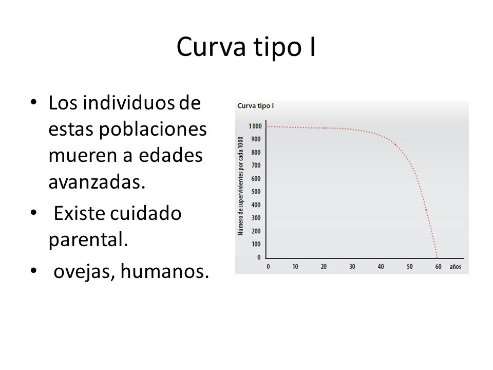 Curva tipo I Los individuos de estas poblaciones mueren a edades avanzadas. Existe cuidado parental.