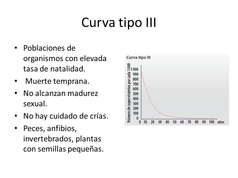 Curva tipo III Poblaciones de organismos con elevada tasa de natalidad. Muerte temprana. No alcanzan madurez sexual.