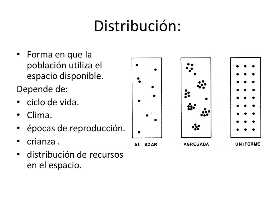Distribución: Forma en que la población utiliza el espacio disponible.