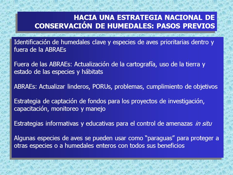 HACIA UNA ESTRATEGIA NACIONAL DE CONSERVACIÓN DE HUMEDALES: PASOS PREVIOS