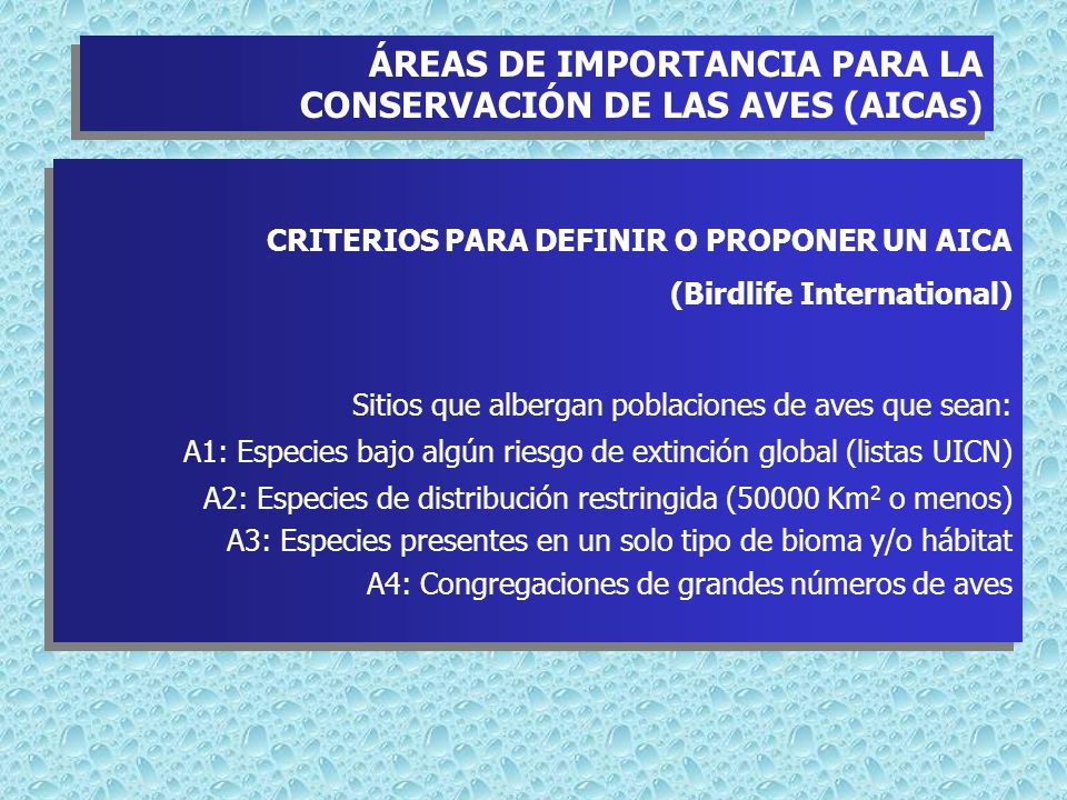 ÁREAS DE IMPORTANCIA PARA LA CONSERVACIÓN DE LAS AVES (AICAs)