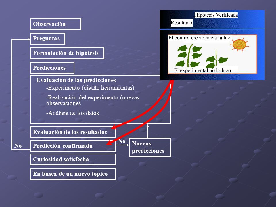 Observación Experimento (diseño herramientas) Realización del experimento (nuevas observaciones. Análisis de los datos.