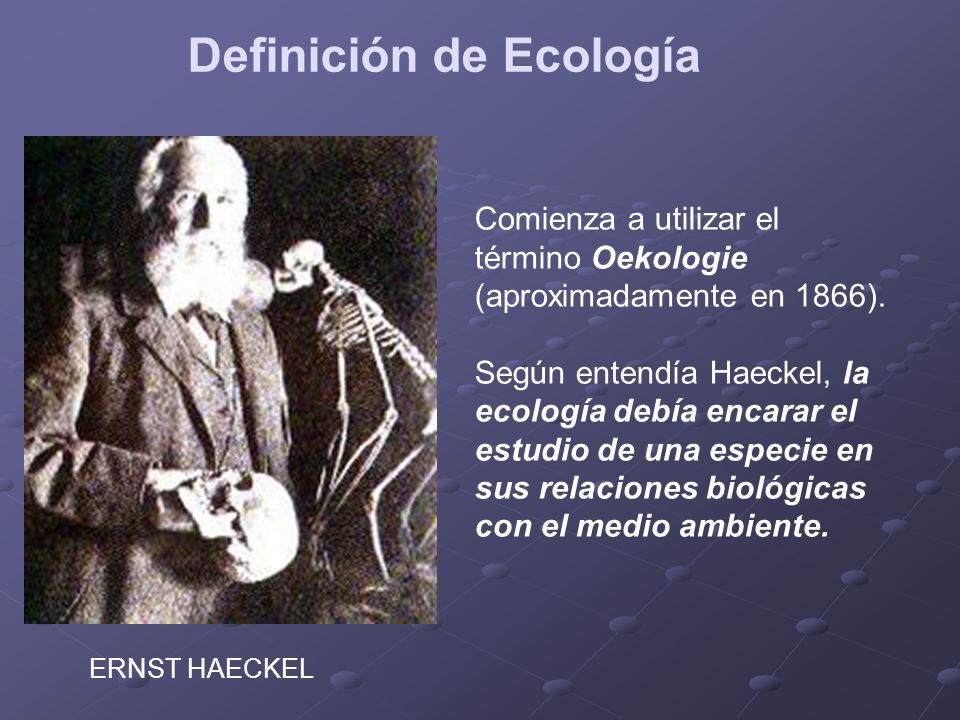 DEFINICIÓN DE LA ECOLOGÍA OBJETO DE ESTUDIO DE LA ECOLOGÍA - ppt descargar