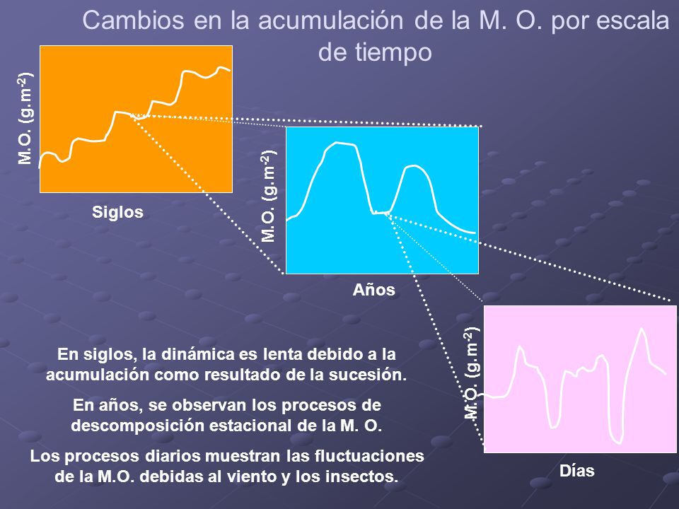 Cambios en la acumulación de la M. O. por escala de tiempo
