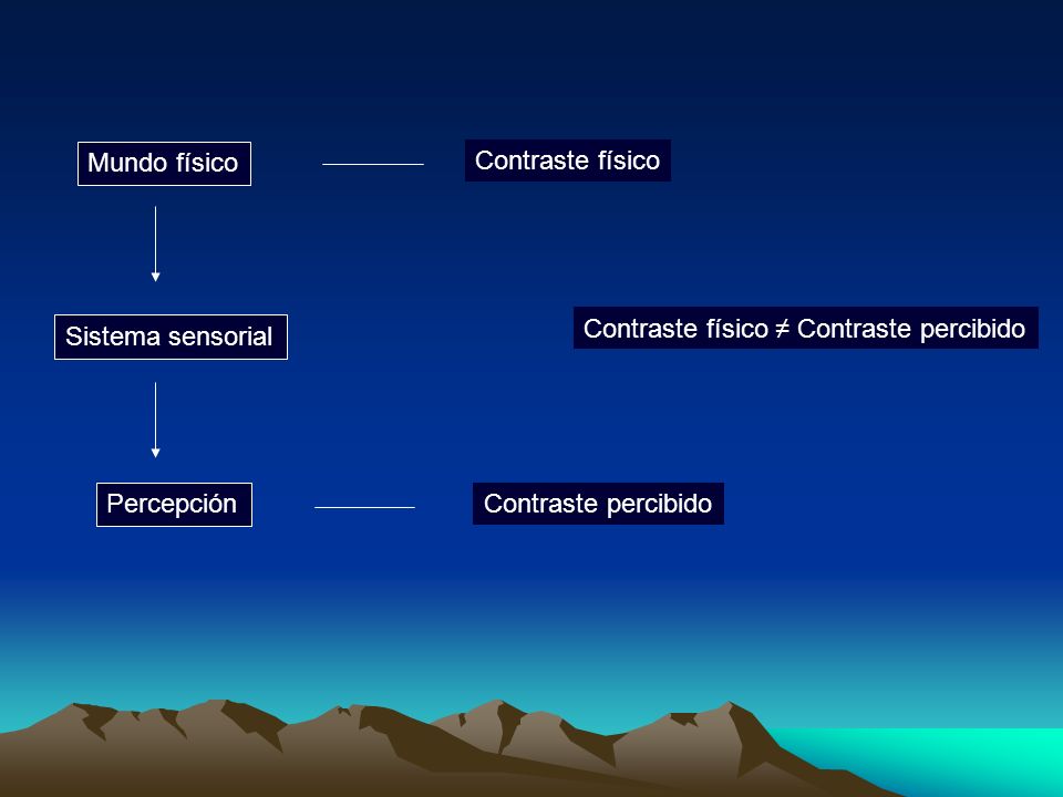 Mundo físico Contraste físico. Contraste físico ≠ Contraste percibido. Sistema sensorial. Percepción.