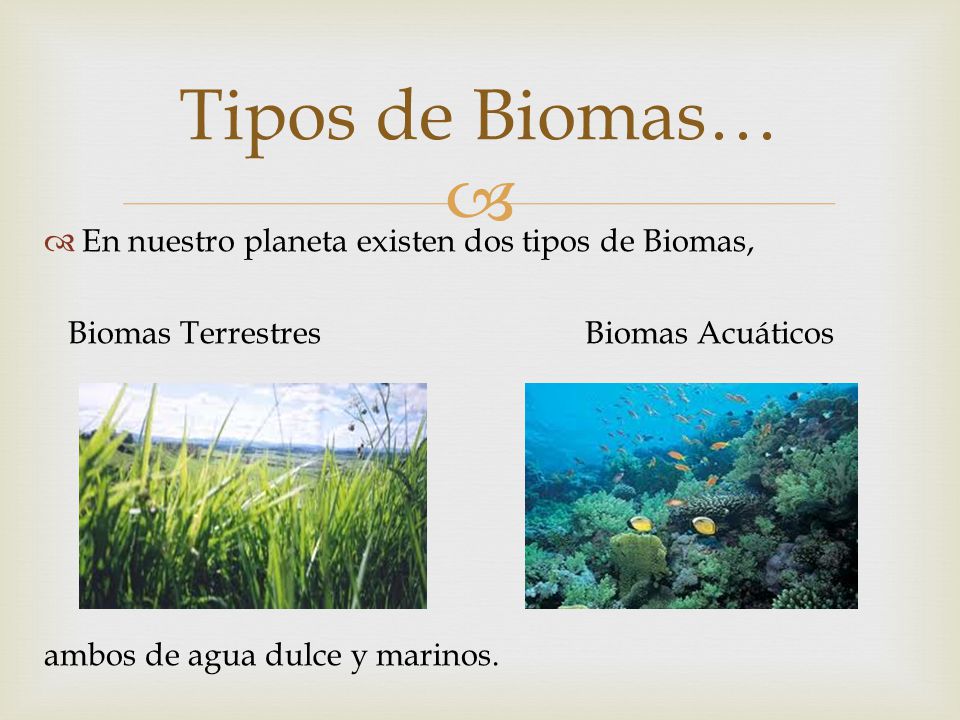 Tipos de Biomas… En nuestro planeta existen dos tipos de Biomas,
