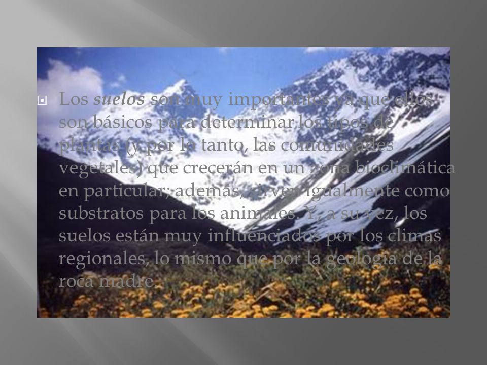 Los suelos son muy importantes ya que ellos son básicos para determinar los tipos de plantas (y por lo tanto, las comunidades vegetales) que crecerán en un zona bioclimática en particular; además, sirven igualmente como substratos para los animales.