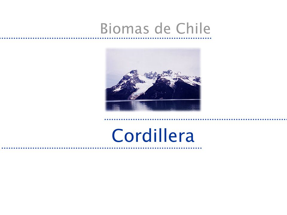 Biomas de Chile Cordillera