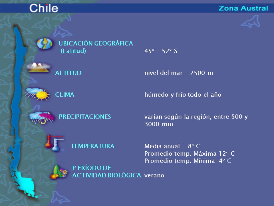 UBICACIÓN GEOGRÁFICA (Latitud) 45° - 52° S. ALTITUD nivel del mar m. CLIMA húmedo y frío todo el año.