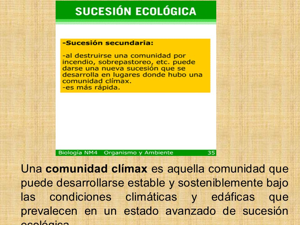 Una comunidad clímax es aquella comunidad que puede desarrollarse estable y sosteniblemente bajo las condiciones climáticas y edáficas que prevalecen en un estado avanzado de sucesión ecológica.