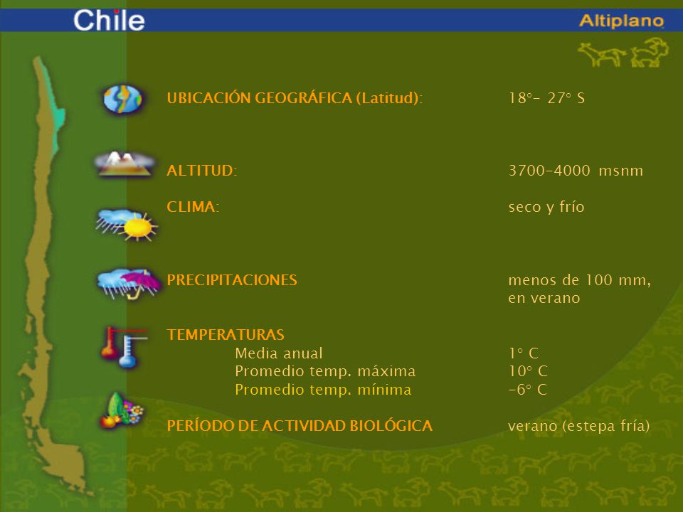 UBICACIÓN GEOGRÁFICA (Latitud): 18°- 27° S. ALTITUD: msnm. CLIMA: seco y frío.