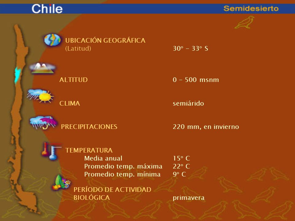 UBICACIÓN GEOGRÁFICA. (Latitud) 30° - 33° S. ALTITUD msnm. CLIMA semiárido. PRECIPITACIONES 220 mm, en invierno.
