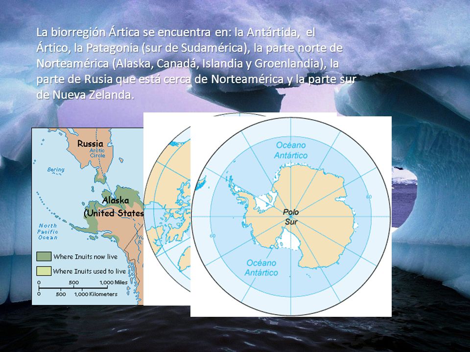 La biorregión Ártica se encuentra en: la Antártida, el Ártico, la Patagonia (sur de Sudamérica), la parte norte de Norteamérica (Alaska, Canadá, Islandia y Groenlandia), la parte de Rusia que está cerca de Norteamérica y la parte sur de Nueva Zelanda.