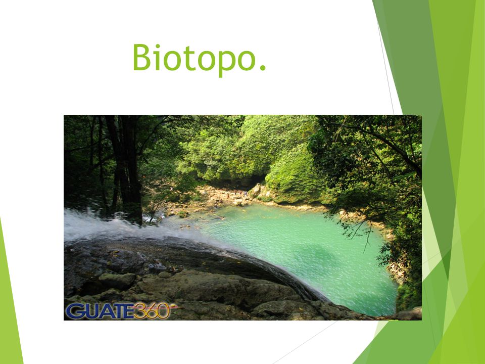 Biotopo.