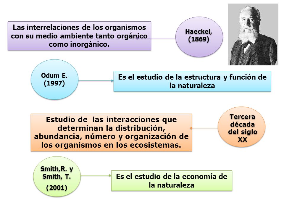 Es el estudio de la estructura y función de la naturaleza