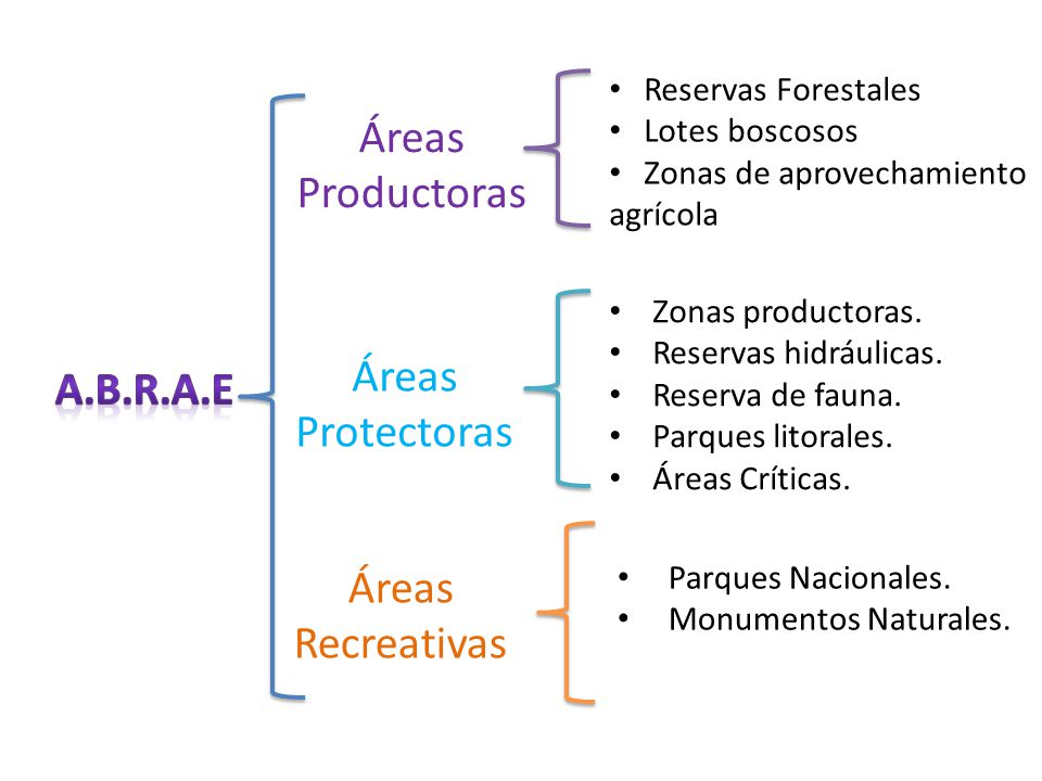 Áreas Productoras Áreas Protectoras A.B.R.A.E Áreas Recreativas