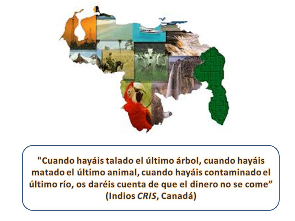 Cuando hayáis talado el último árbol, cuando hayáis matado el último animal, cuando hayáis contaminado el último río, os daréis cuenta de que el dinero no se come