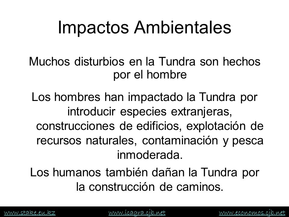 Impactos Ambientales Muchos disturbios en la Tundra son hechos por el hombre.