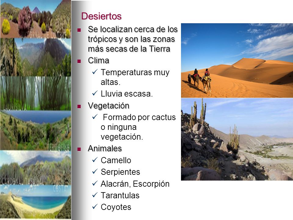 Desiertos Se localizan cerca de los trópicos y son las zonas más secas de la Tierra. Clima. Temperaturas muy altas.