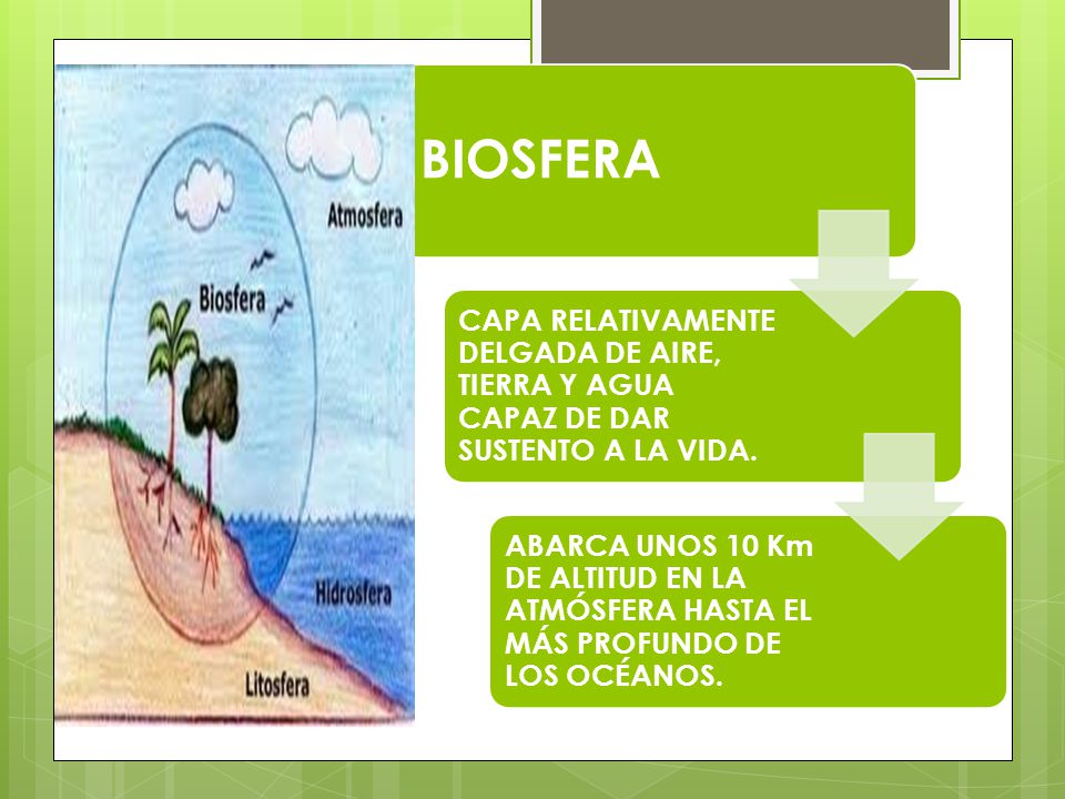 BIOSFERA CAPA RELATIVAMENTE DELGADA DE AIRE, TIERRA Y AGUA CAPAZ DE DAR SUSTENTO A LA VIDA.