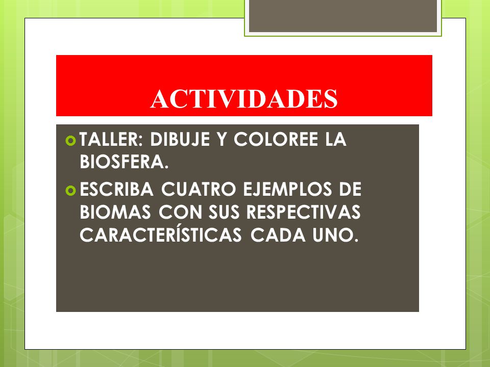 ACTIVIDADES TALLER: DIBUJE Y COLOREE LA BIOSFERA.