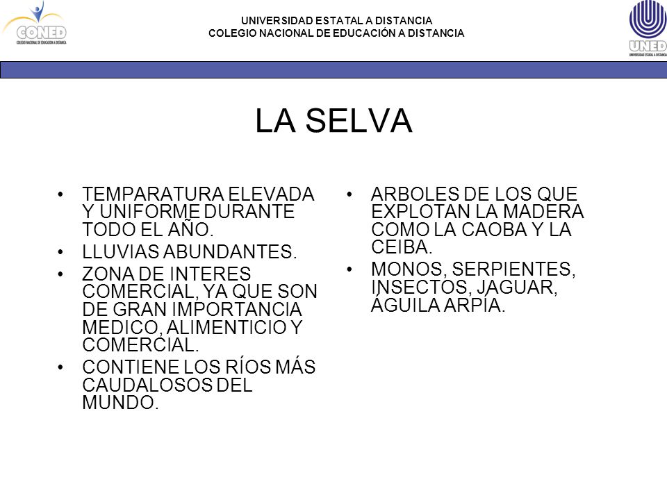 LA SELVA TEMPARATURA ELEVADA Y UNIFORME DURANTE TODO EL AÑO.