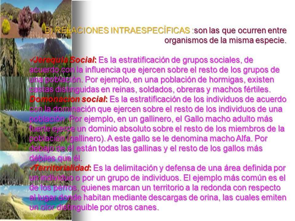 B) RELACIONES INTRAESPECÍFICAS :son las que ocurren entre organismos de la misma especie.