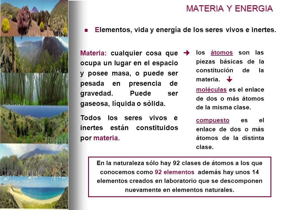 MATERIA Y ENERGIA Elementos, vida y energía de los seres vivos e inertes.