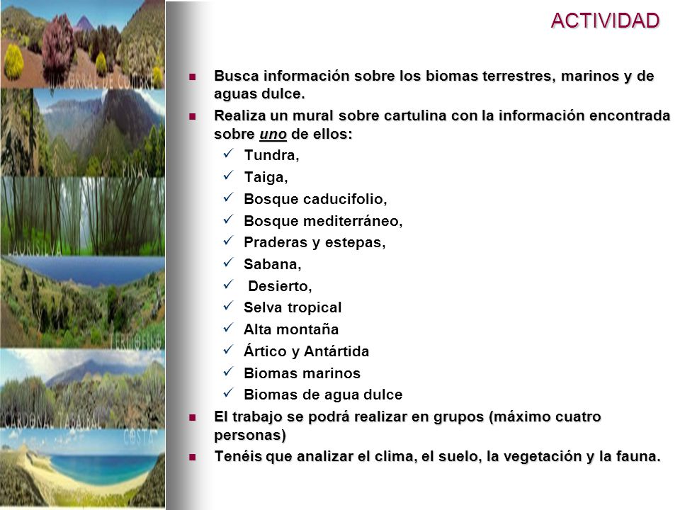 ACTIVIDAD Busca información sobre los biomas terrestres, marinos y de aguas dulce.