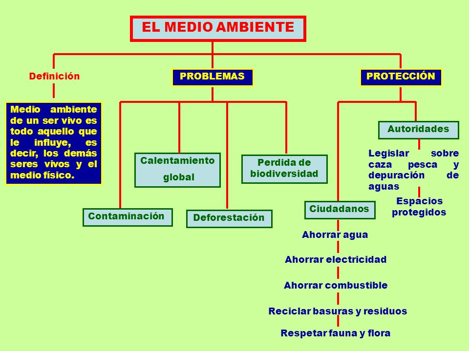 EL MEDIO AMBIENTE Definición PROBLEMAS PROTECCIÓN